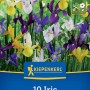 Kiepenkerl Holländische Schwertlilien Mischung, 10 Blumenzwiebeln in verschiedenen Farben.