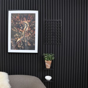 Denpanels Aufbewahrungsgitter mit 4 Haken, schwarz, zur Montage an Akustikpaneelen.