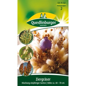 Quedlinburger Ziergräser Mischung, einjährige Sorten für Beet und Trockensträuße.