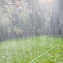 Bewässerung mit dem grünen Gardena Schlauch-Regner 15m im Garten.