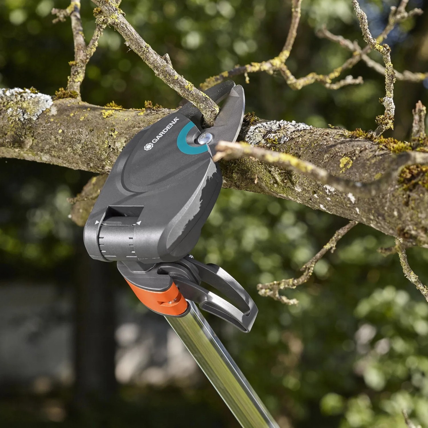 Gardena Strauchschneider StarCut 160 plus beim Schneiden eines Astes. Gartenschere mit Teleskopstiel.