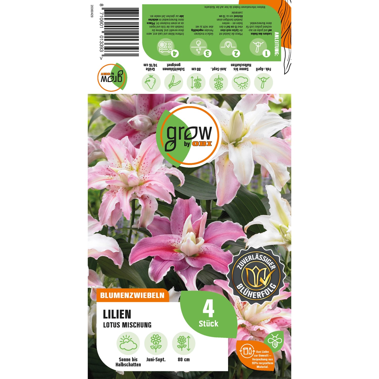 GROW by OBI Lilie "Oriental Lotus Mischung" Höhe ca. 80 cm kaufen bei OBI