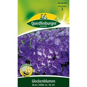 Quedlinburger Glockenblume Blau, Blumensamen für Steingärten, Beete und Rabatten.