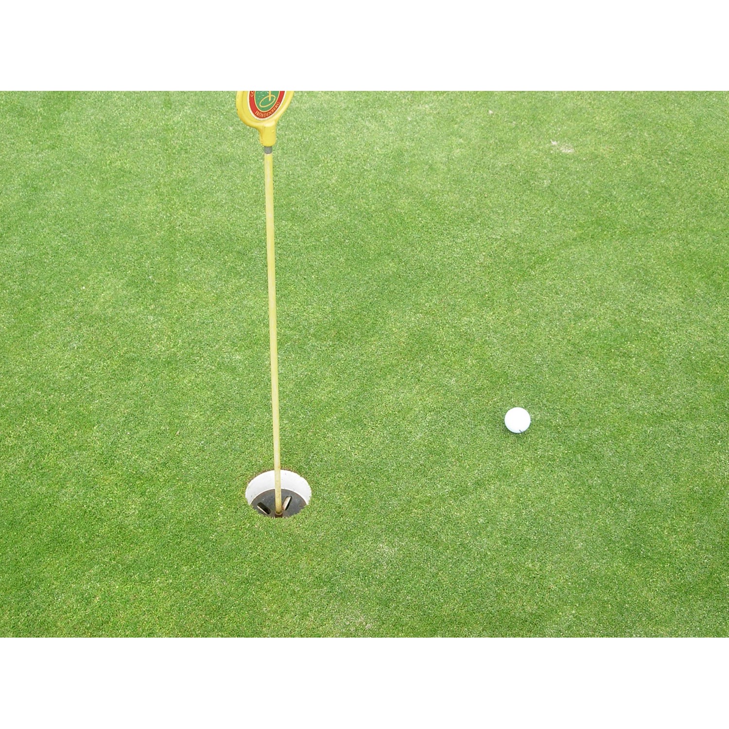 Kiepenkerl Saatgut RSM 4.1.2 Golfrasen 10 kg für 350 m² kaufen bei OBI