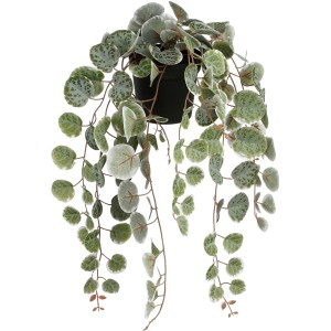 Hängende Kunstpflanze Ceropegia im Topf, grün-bunt, 46cm. Dekorative Hängepflanze für Innenräume.