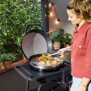Char-Broil Grillplatte Patio Bistro E2Coal aus Edelstahl 38,1 cm x 44,1 cm