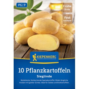 Kiepenkerl Pflanzkartoffel Sieglinde, 10 St