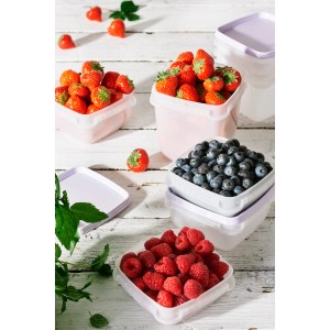 SmartStore Gefrierdosen Frost 1 l Lavendel, 3er-Set, gefüllt mit Erdbeeren, Blaubeeren und Himbeeren.