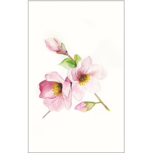 Komar Wandbild Magnolia Breathe 50 x 70 cm