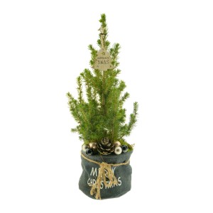 Dekorierte Zuckerhut-Fichte im Jutegefäß mit Deko-Elementen als Tisch-Weihnachtsbaum.