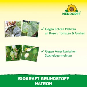 Neudorff Grundstoff BioKraft Natron 500 ml