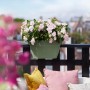 Elho Blumenbrücke Vibia Campana, anthrazit, mit rosa Blumen auf einem Balkongeländer.