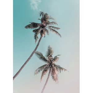 Komar Wandbild Miami Palms, 50x70 cm, zeigt zwei Palmen vor hellblauem Himmel.