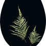 Schwarzer WC-Sitz Manra mit Farn-Motiv und Absenkautomatik von baliv.