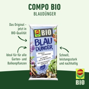 Blaukorn kaufen bei OBI