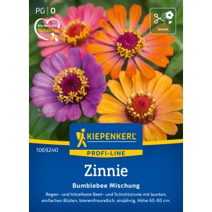 Kiepenkerl Zinnie Bumblebee Mischung: Bunte Zinnien Blüten in Orange, Lila und Pink.