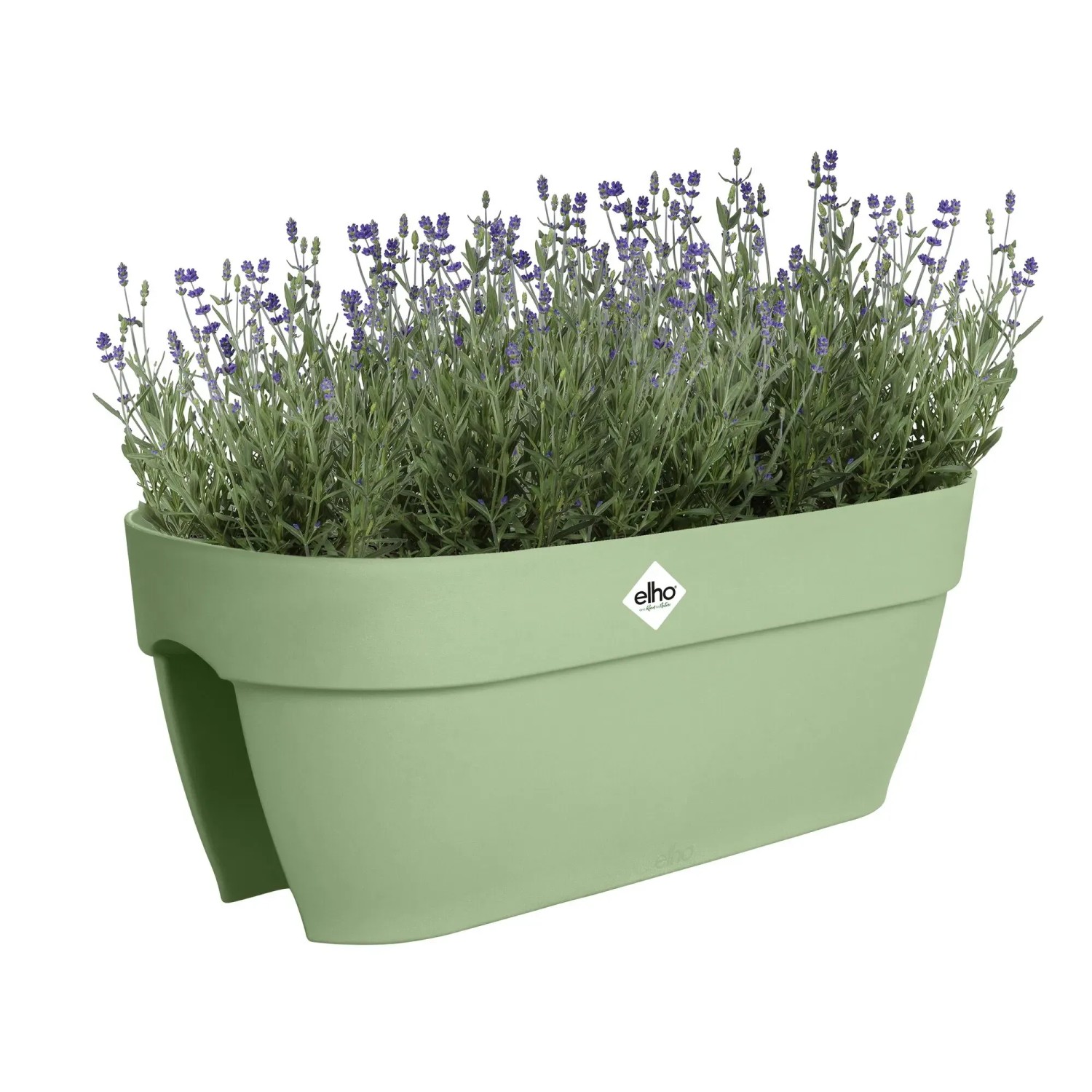 Elho Blumenkasten Flower Bridge Vibia Campana 26 cm x 59 cm x 22 cm Grn  kaufen bei OBI