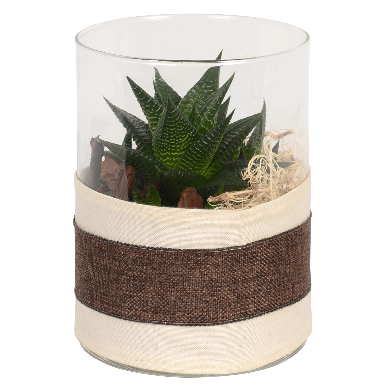 Bepflanzte Glasvase Modern kaufen bei OBI