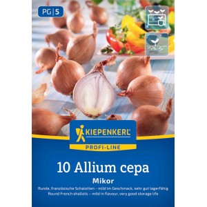 Kiepenkerl Französische Schalotte Mikor, Gr. 20/45