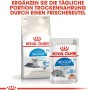 Royal Canin Indoor 7+ Trockenfutter & Frischebeutel für ältere Wohnungskatzen.