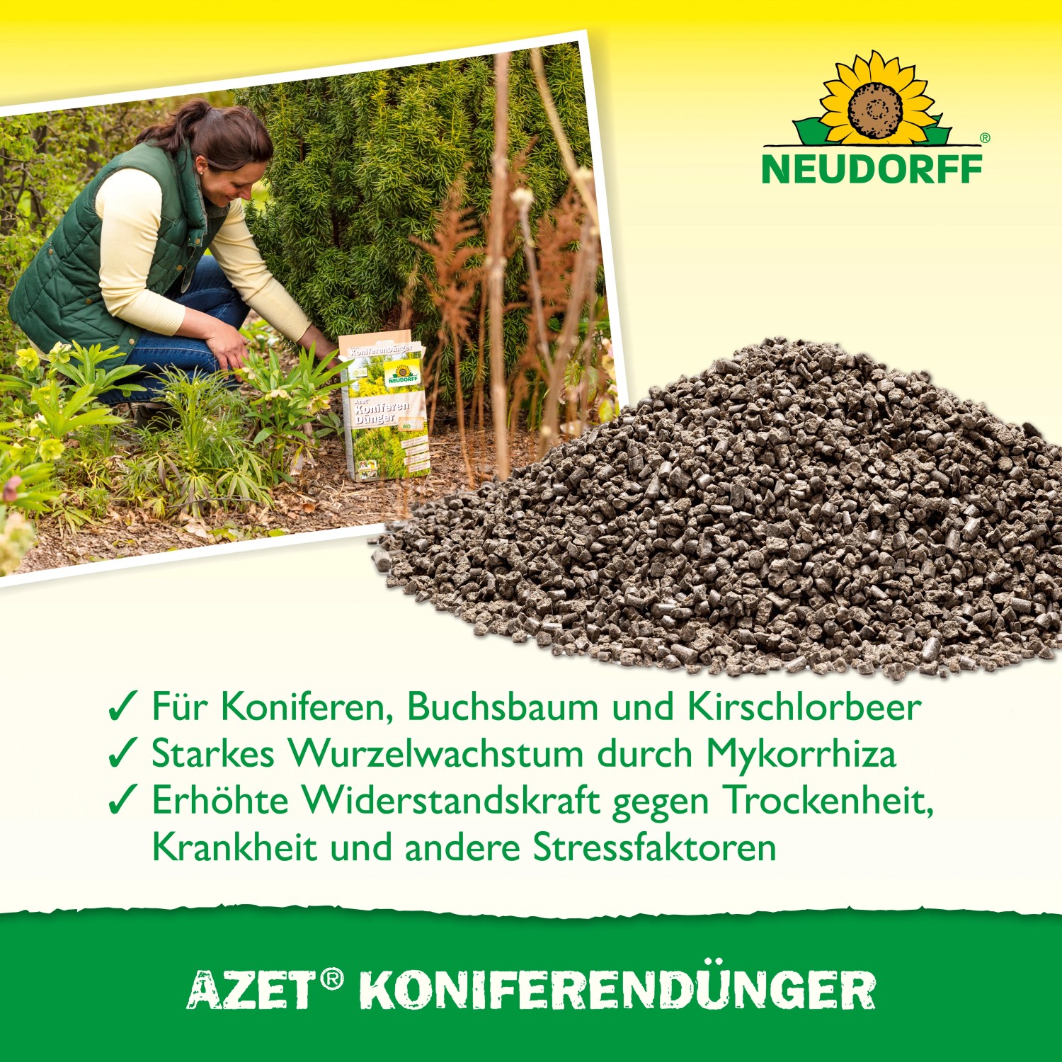 kann man erdbeeren mit hornspäne düngen Purgrün Bio-Erdbeerdünger 1 kg main image 0