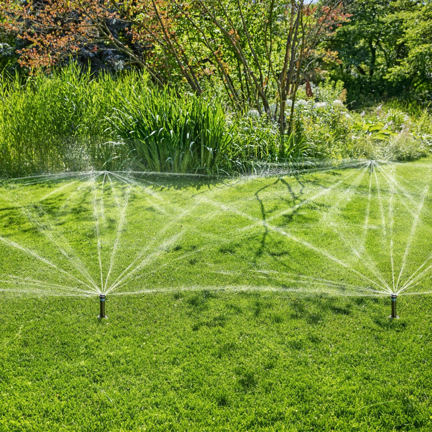 Gardena Versenkregner MD80 bewässert Rasenfläche. Sprinkler-System im Einsatz.