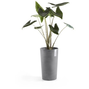 Grauer Ecopots Pflanztopf Amsterdam, Ø 30 cm, mit grüner Pflanze. Ideal für Innen- und Außenbereich.