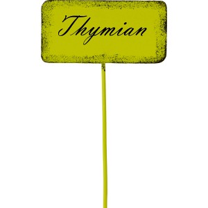 Kräuterstecker Thymian 30 cm x 2 cm x 7 cm Grün