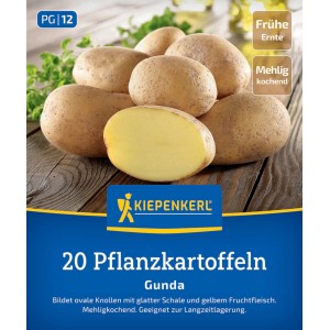 Kiepenkerl Pflanzkartoffeln Gunda, 20 Stück, frühe, gelbfleischige Sorte, ideal für Püree und Aufläufe.