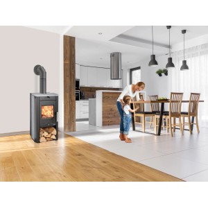 Haas+Sohn Kaminofen Prunus Serpentino (6 kW) im Wohnraum mit brennendem Feuer und Holzscheiten.