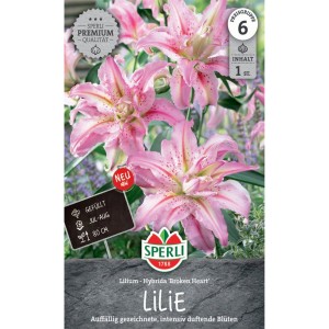 Sperli Lilie Broken Heart: Rosa gefüllte Lilienblüten mit roten Punkten auf der Verpackung.