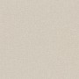 A.S. Création Vliestapete Uni Beige, detailreiche Textur für Wohnräume.