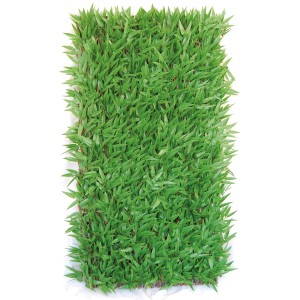 Tenax künstliche Hecke Bamboo, 1x2m, als Balkonsichtschutz mit grünen Blättern auf braunem Holz.