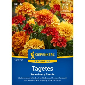 Kiepenkerl Tagetes Strawberry Blonde: Studentenblumen-Samen mit Farbverlauf von Gelb bis Rotbraun.