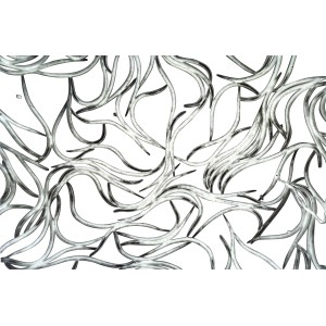 Nematoden (Fadenwürmer) zur biologischen Schädlingsbekämpfung von Trauermücken und Thripslarven.