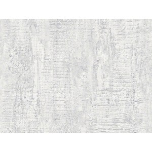 A.S. Création Vliestapete Betonoptik in Hellgrau mit dreidimensionaler Prägung.