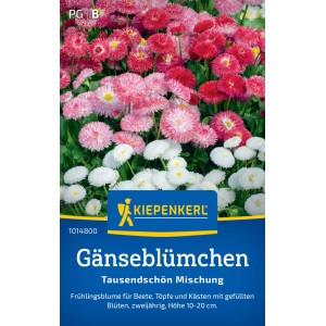 Kiepenkerl Saatgut Gänseblümchen Tausendschön Mischung