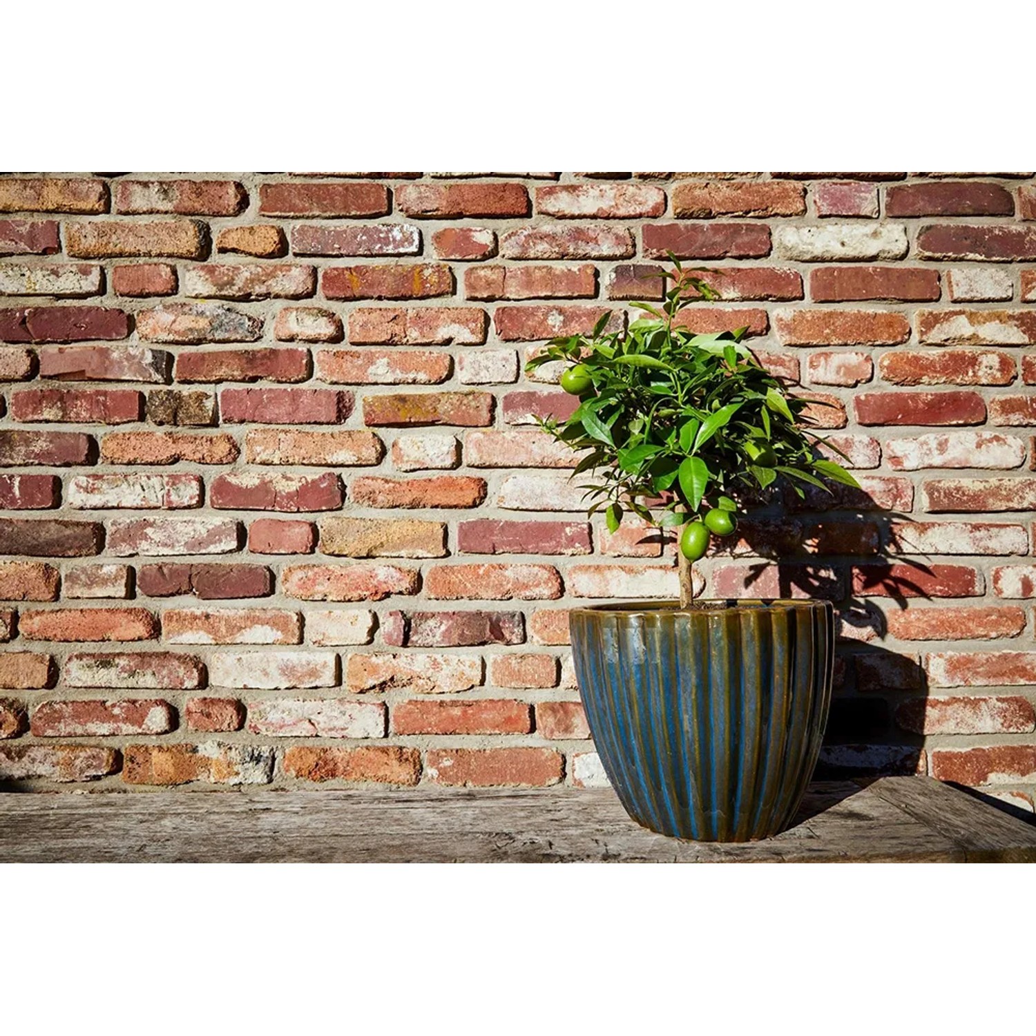 aufhnger blumenkasten Ratolla Case Balkonkasten mit Aufhngung Blumenkasten Blumentopf mit H   Euroelectronics DE