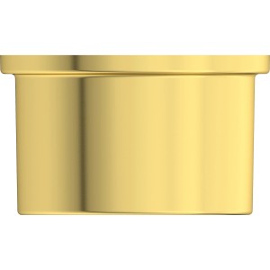 Ideal Standard Idealrain Atelier Brauseschlauchanschluss, rund, Brushed Gold.