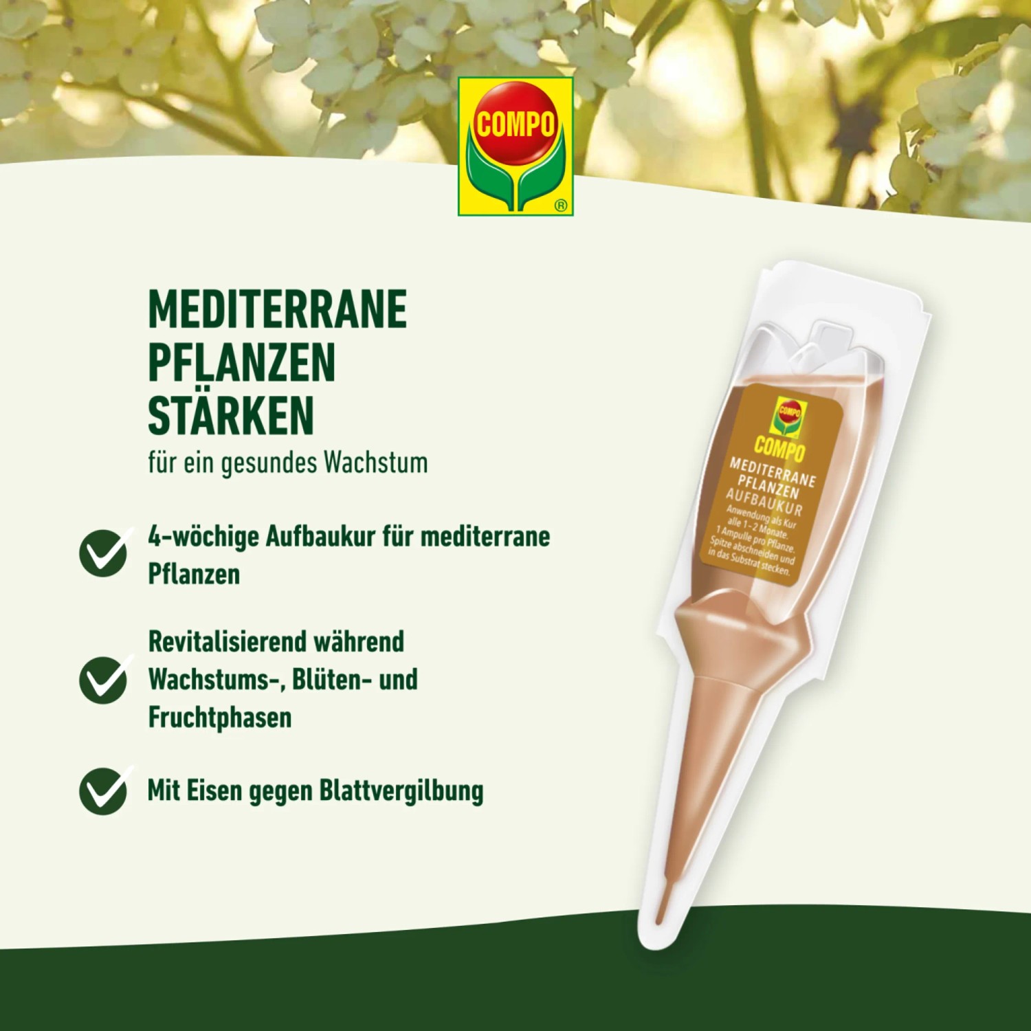 Compo Mediterrane Pflanzen Aufbaukur 30 ml kaufen bei OBI