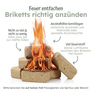 Holzbriketts richtig anzünden: Tipps zur optimalen Verbrennung im Kaminofen. Brennstoffe sicher verwenden.