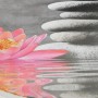 Wenko WC-Sitz Water Lily mit Relief, Absenkautomatik, Thermoplast, Motiv Seerose und Steine