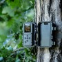 Bresser Wildkamera 5-20 MP, am Baum befestigt, Gehäuse geöffnet. Ideal zur Tierbeobachtung und Überwachung.