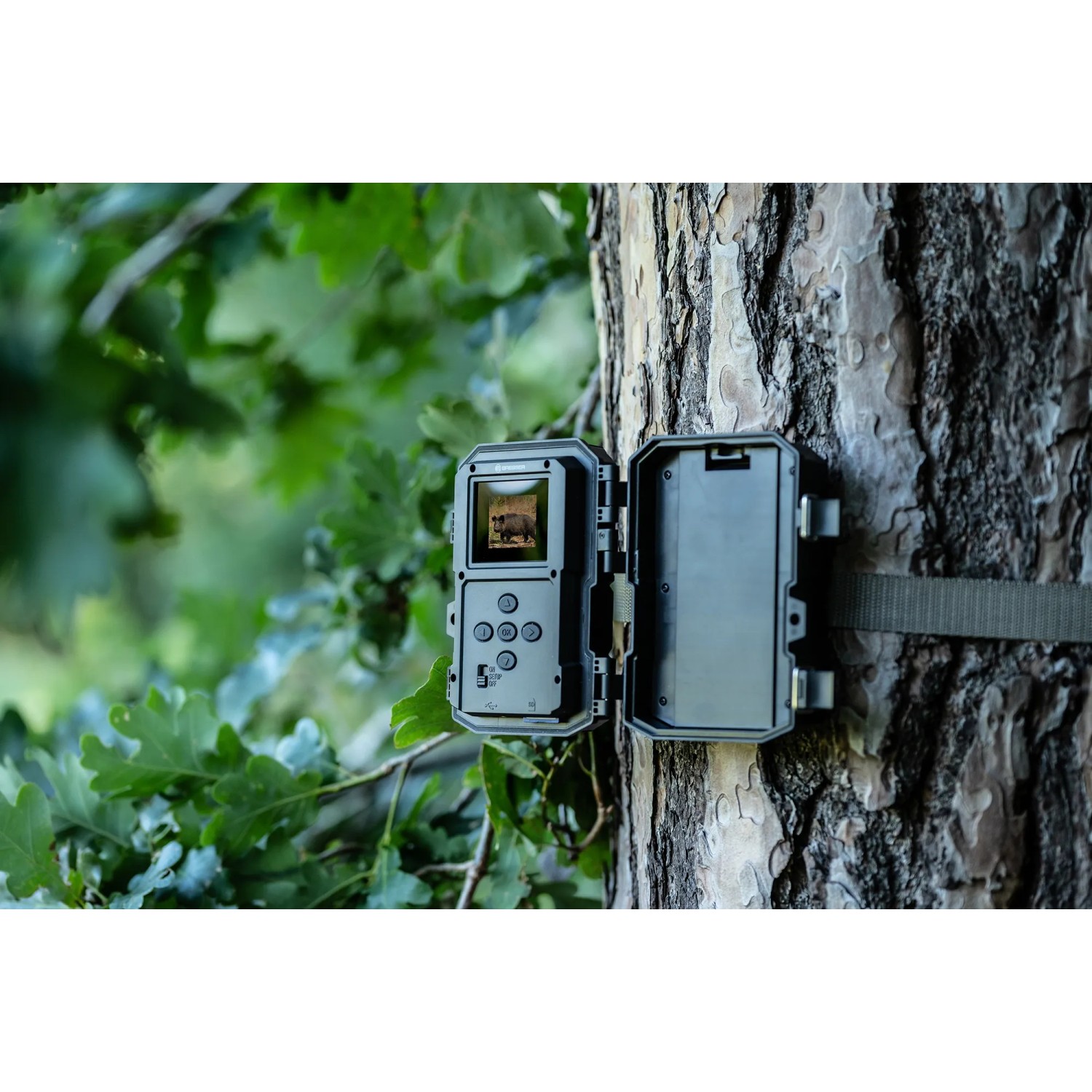Bresser Wildkamera 5-20 MP, am Baum befestigt, Gehäuse geöffnet. Ideal zur Tierbeobachtung und Überwachung.