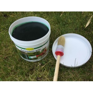 Eimer Schacht Raupenleim Grün 500g mit Pinsel und Deckel auf Rasen für biologische Schädlingsbekämpfung.