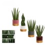 Bogenhanf in Sorten im Keramik-Gefäß Topf-Ø ca. 9 cm Sansevieria Cylindrica