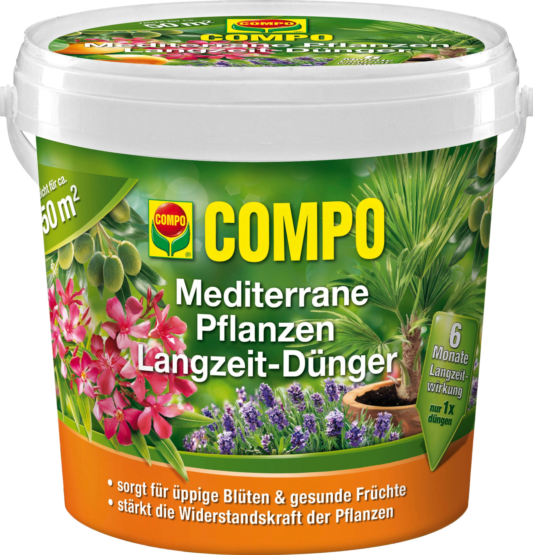 Compo Mediterrane Pflanzen LangzeitDünger 1,5 kg kaufen bei OBI