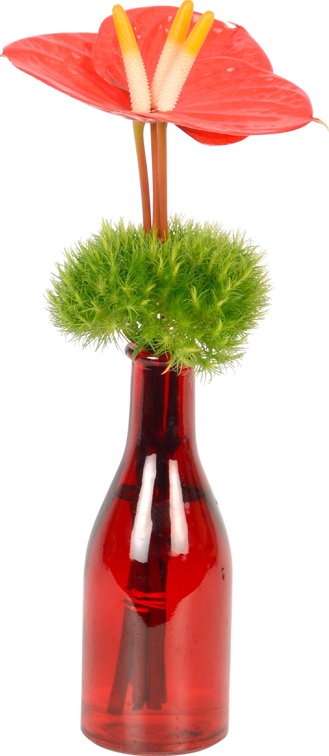 Glasflasche mit Anthurien Schnittblumen Arrangement kaufen bei OBI