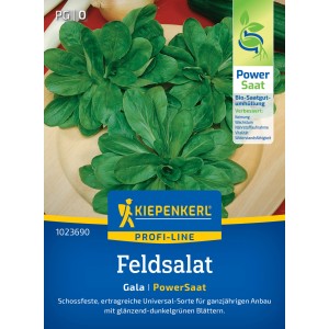Kiepenkerl Feldsalat Gala Samenpackung mit frischen, grünen Feldsalat-Rosetten.