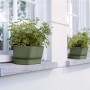 Elho Greenville Blumenkasten, 18,5x69cm, Laubgrün, mit Pflanzen auf einer Fensterbank.